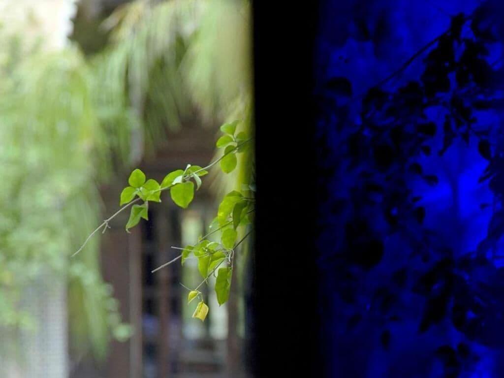 Palais Sheherazade & Spa Fes Ngoại thất bức ảnh